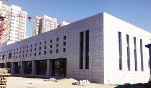 ˫����������